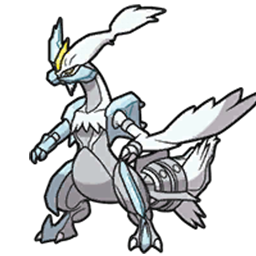 ホワイトキュレム